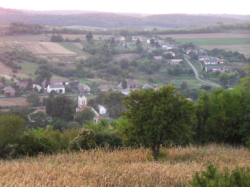 Útfejlesztés és vadvédelem